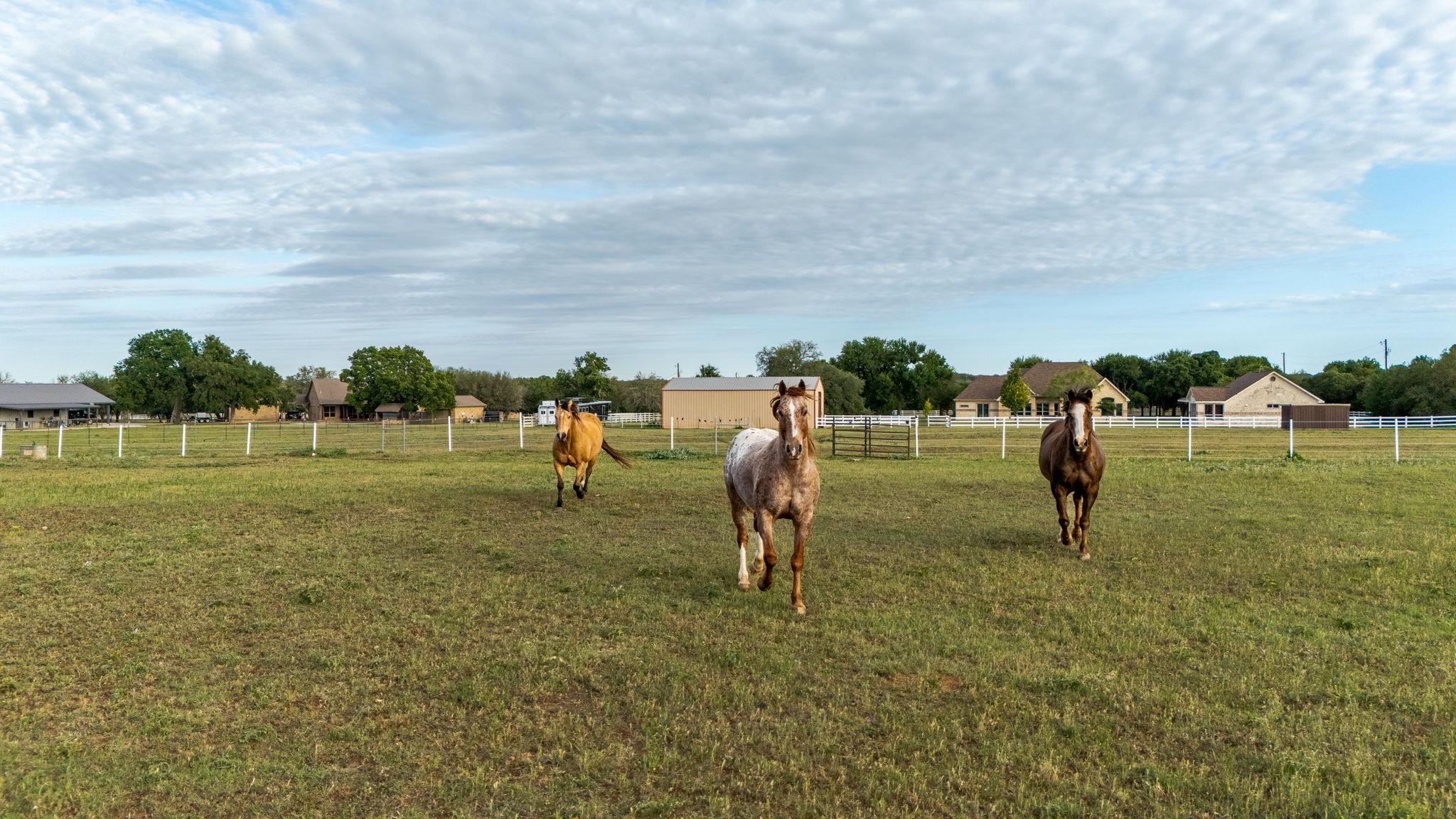 134 Creekside Drive Liberty Hill TX 78642
