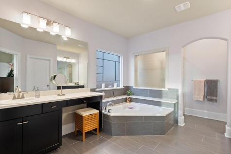 17705 Flowing Brook Drive Austin TX 78738