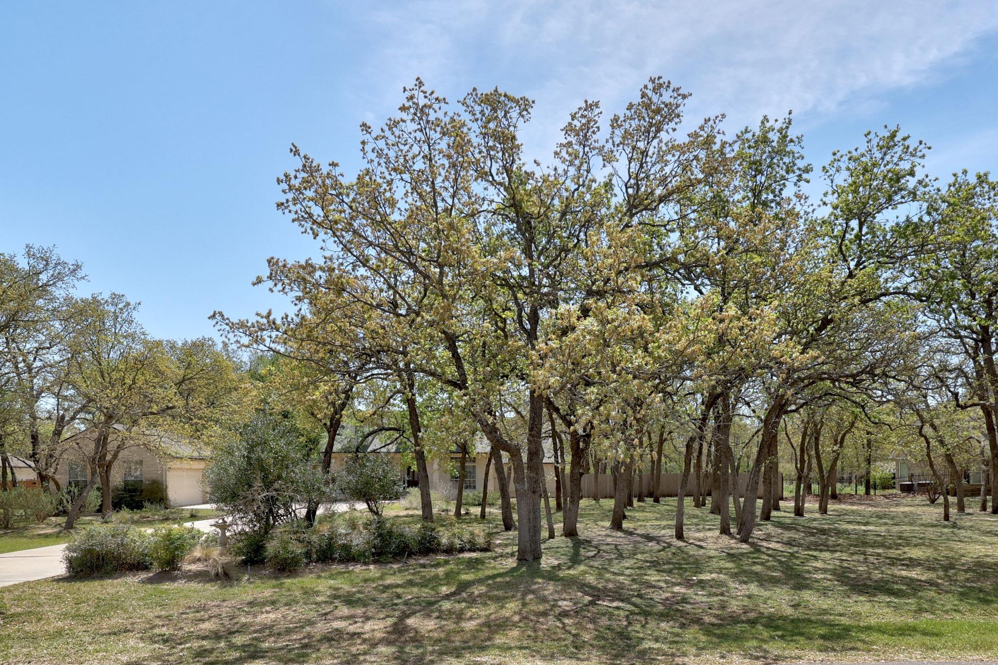 105 Oak Plaza Drive Georgetown TX 78628