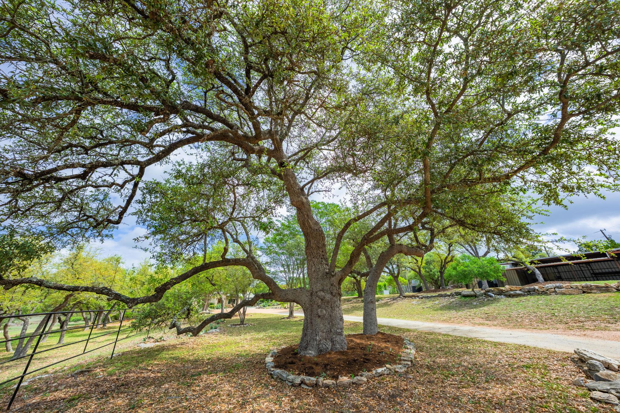 100 Rainbows End Wimberley TX 78676