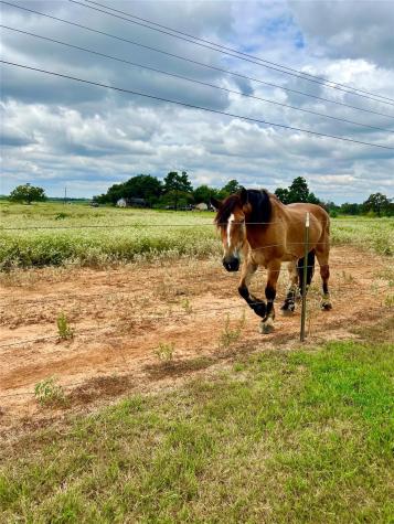 1286 County Road 446 Rockdale TX 76567