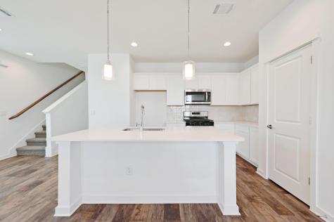 462 Orleanian Drive Buda TX 78610
