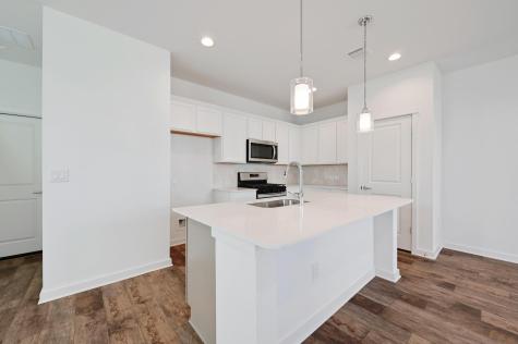 462 Orleanian Drive Buda TX 78610
