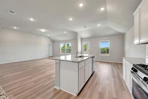 20001 Schatz Way Manor TX 78653