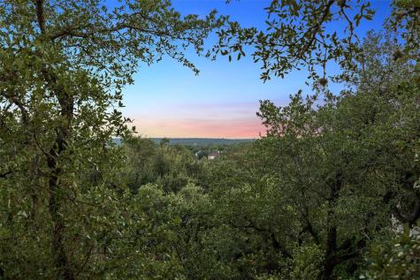 10810 Wintergreen Hill Austin TX 78750
