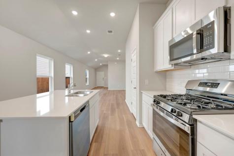 142 Big Banyan Drive Dripping Springs TX 78620