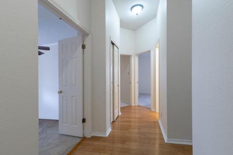 1012 Parrot Trail Round Rock TX 78681