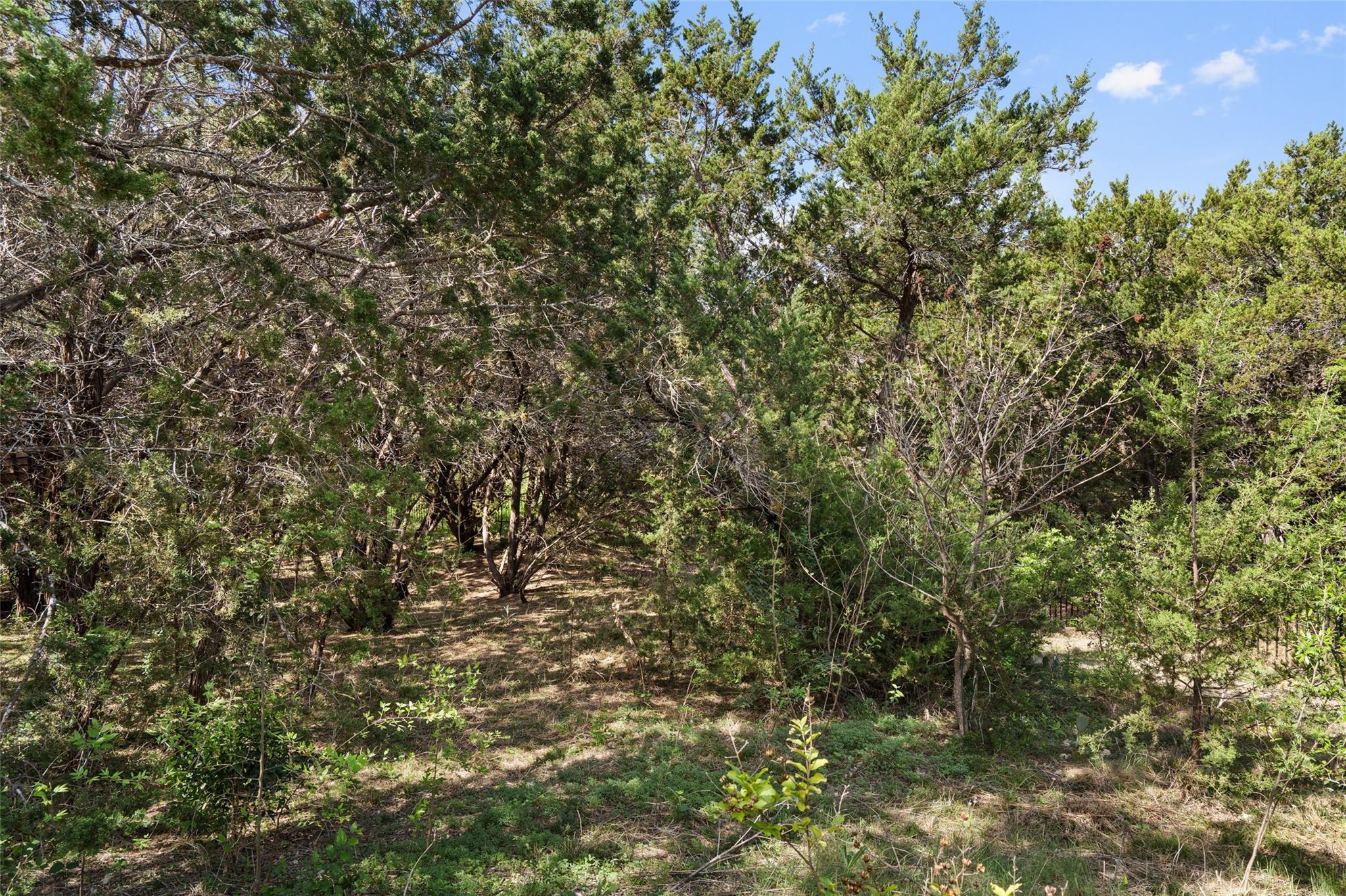 164 Milestone Road Liberty Hill TX 78642