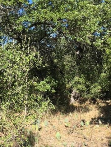 1685 Highway 281 Highway Johnson City TX 78636