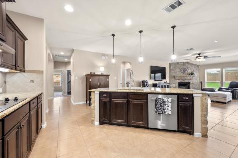 19925 Needle Pine Drive Round Rock TX 78664