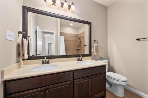 19925 Needle Pine Drive Round Rock TX 78664