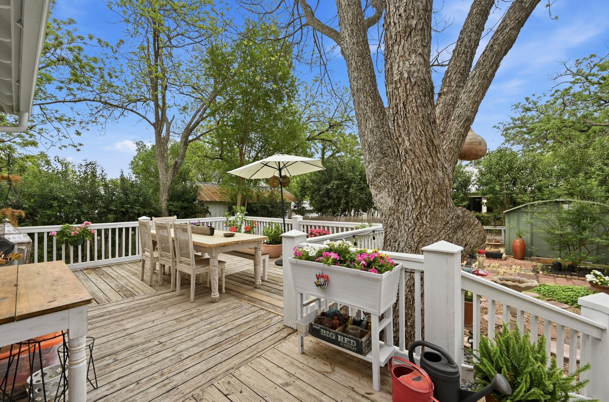 221 N Johnson Avenue San Marcos TX 78666