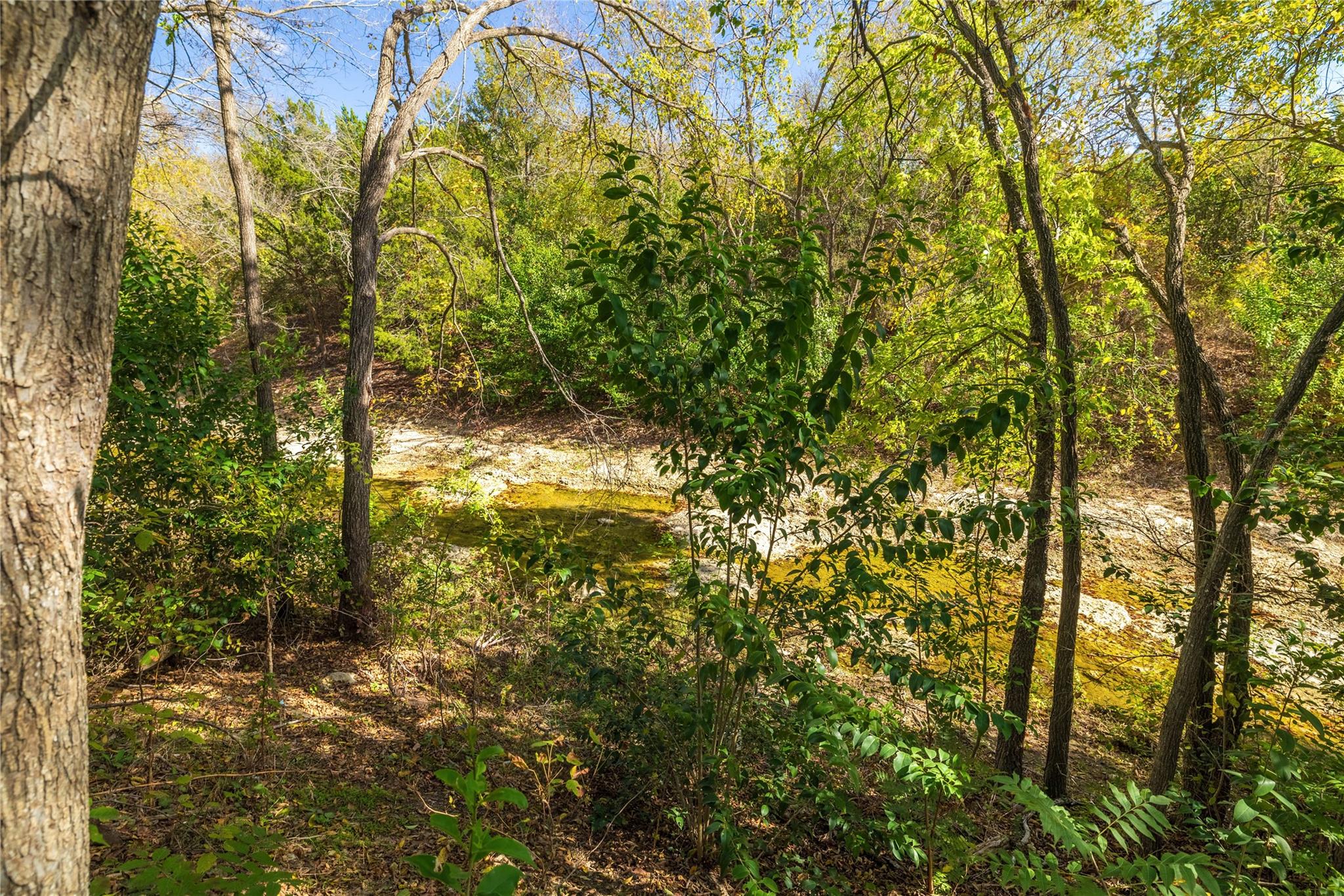 2229 Jasmine Path Round Rock TX 78664