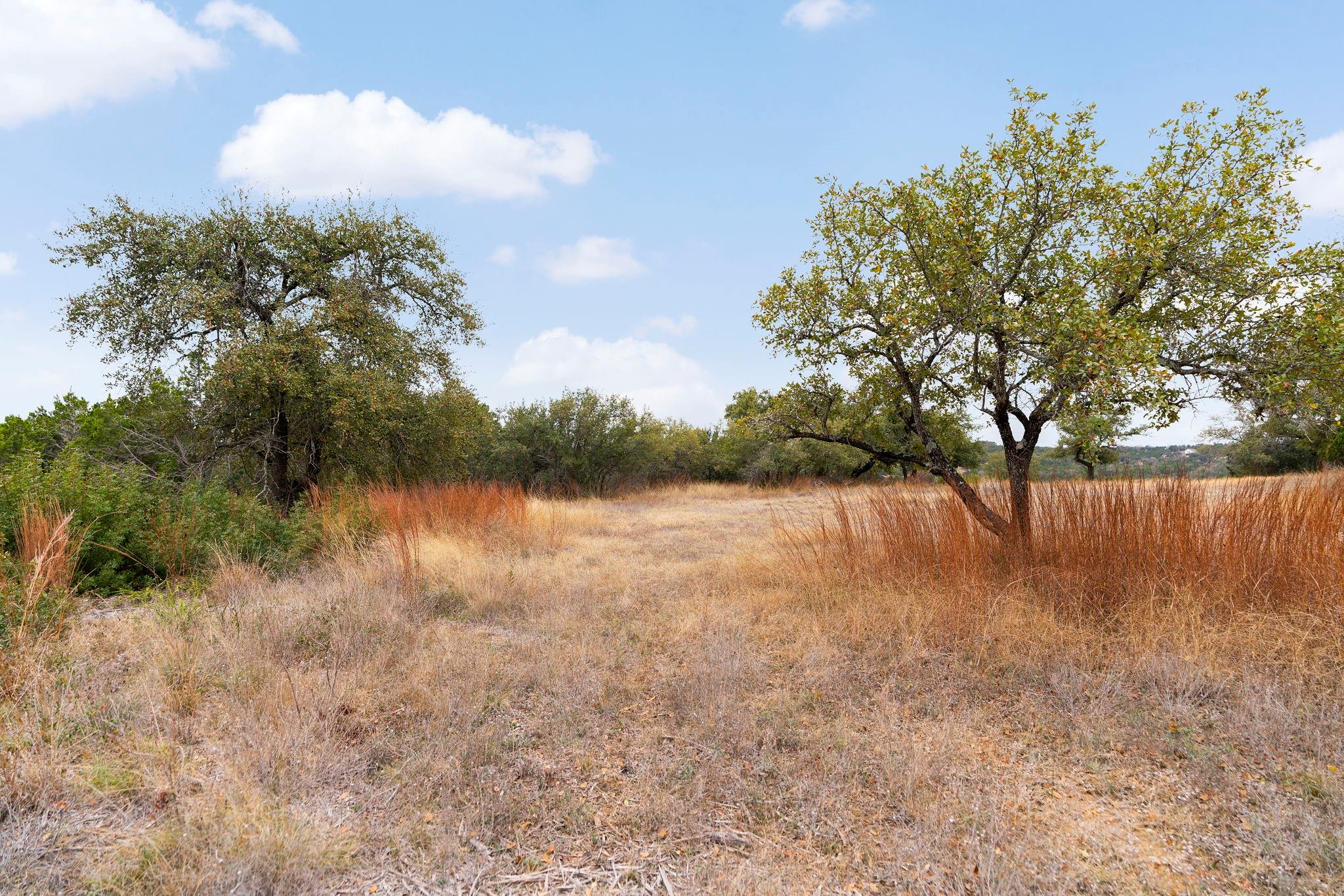 21418 Kathy Lane Spicewood TX 78669