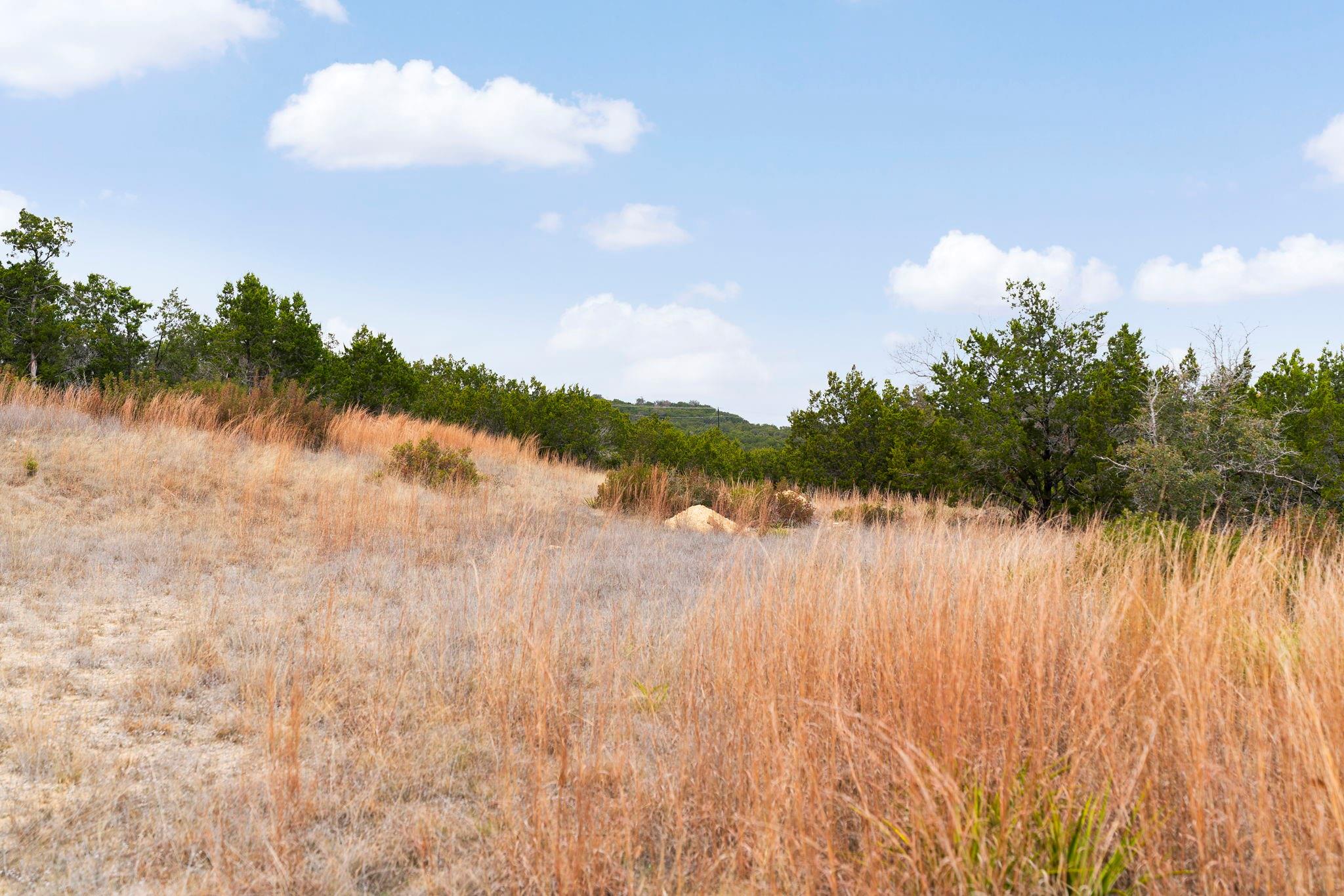 21418 Kathy Lane Spicewood TX 78669