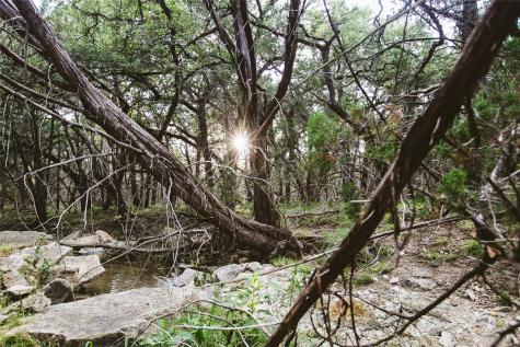806 Bell Springs Road Dripping Springs TX 78620