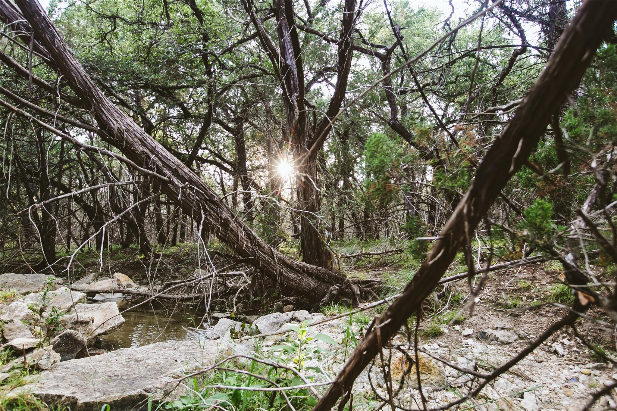 806 Bell Springs Road Dripping Springs TX 78620