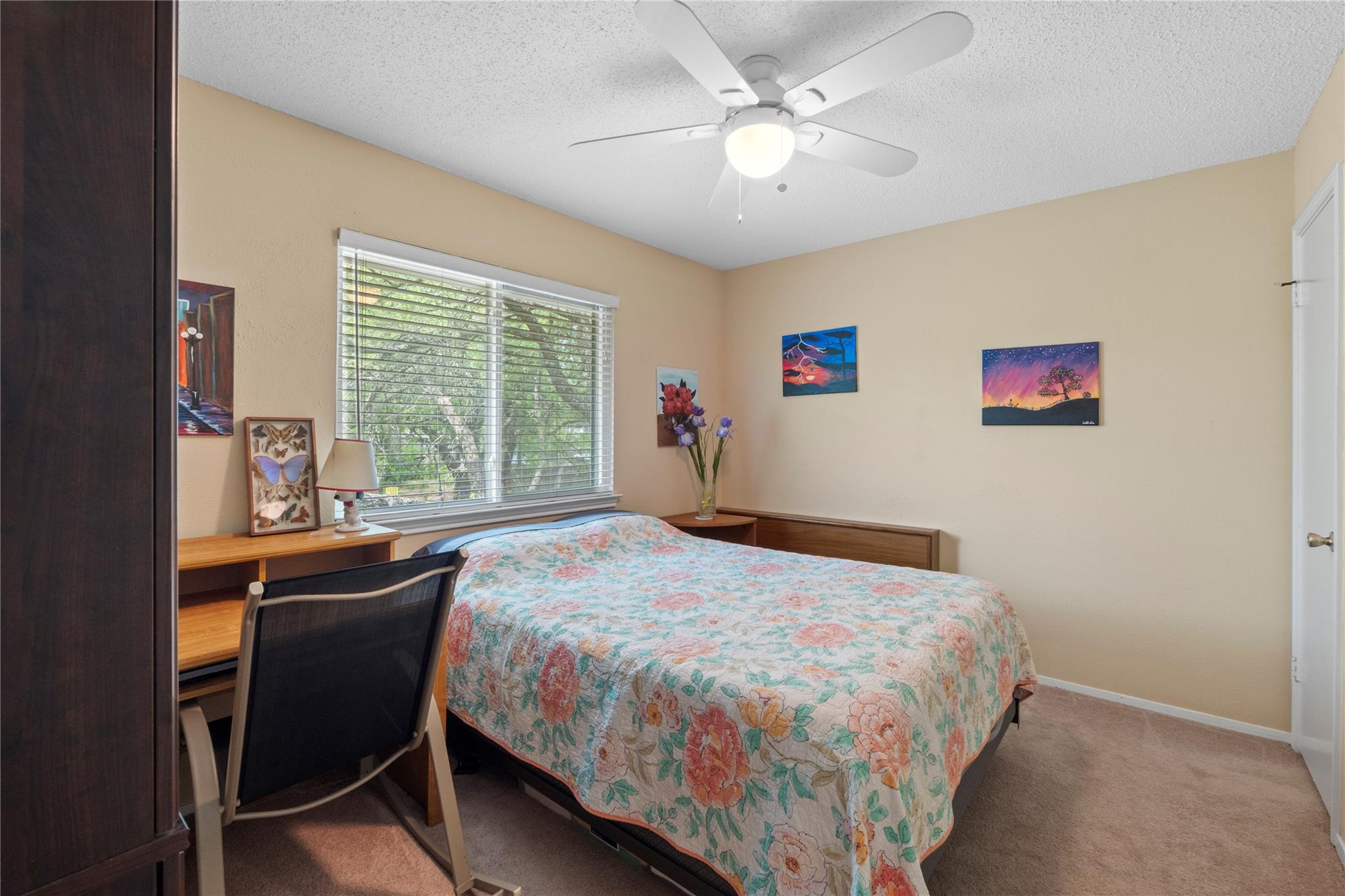 609 Wild Briar Cove Cedar Park TX 78613