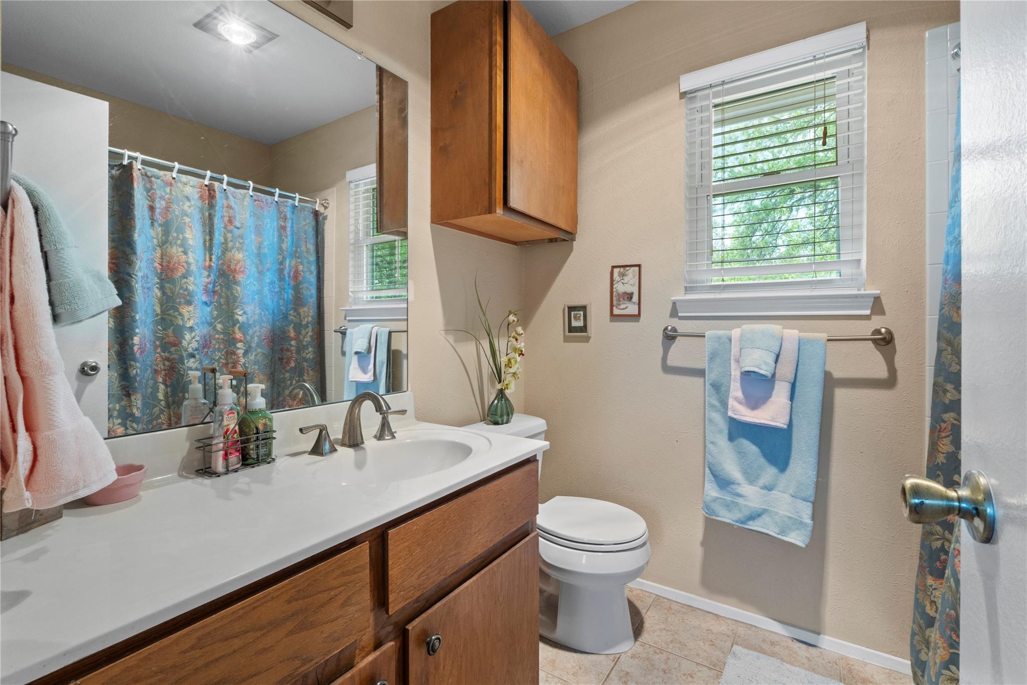 609 Wild Briar Cove Cedar Park TX 78613