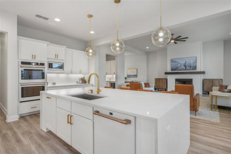 501 Francis Court Liberty Hill TX 78642