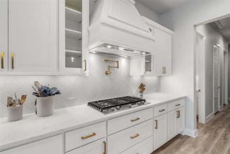 501 Francis Court Liberty Hill TX 78642