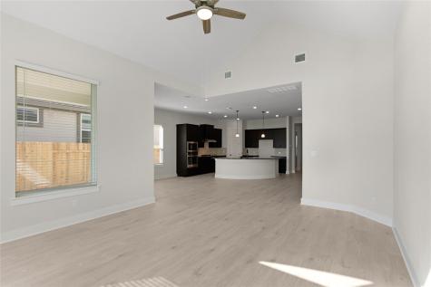 300 Blue Vervain Trail Georgetown TX 78633
