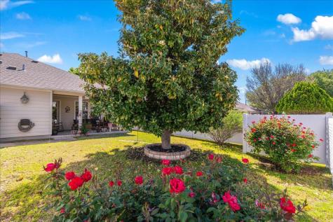 1505 Discovery Boulevard Cedar Park TX 78613