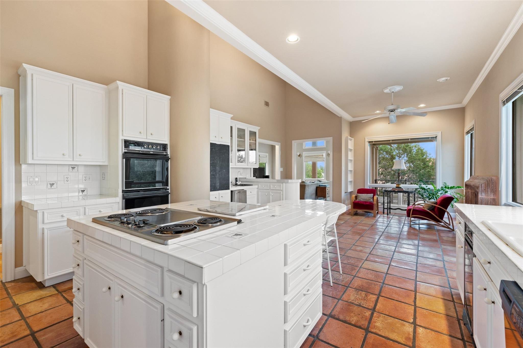 3 Crabapple Court The Hills TX 78738