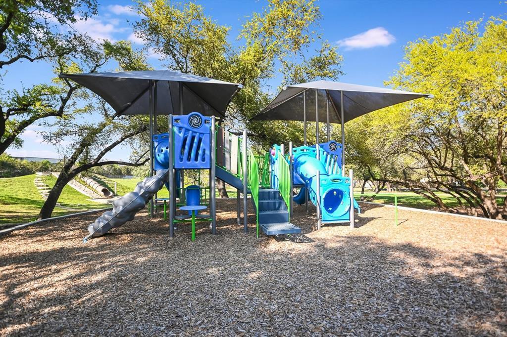 3 Crabapple Court The Hills TX 78738