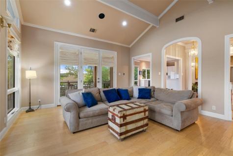 3 Crabapple Court The Hills TX 78738