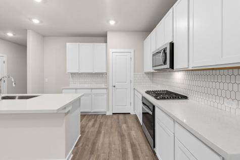 156 Ayres Horn Cedar Creek TX 78612