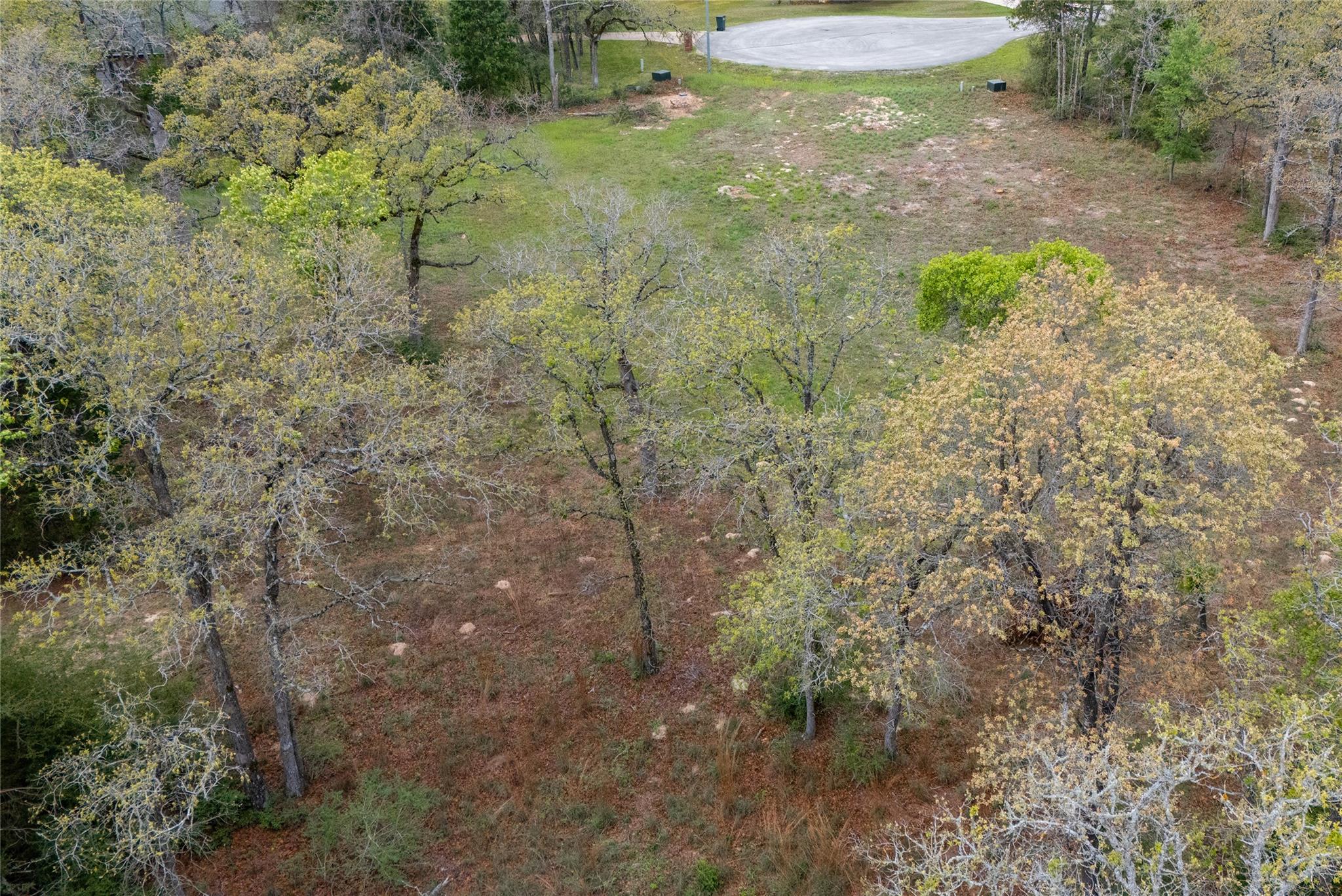 330 Arbors Circle Elgin TX 78621