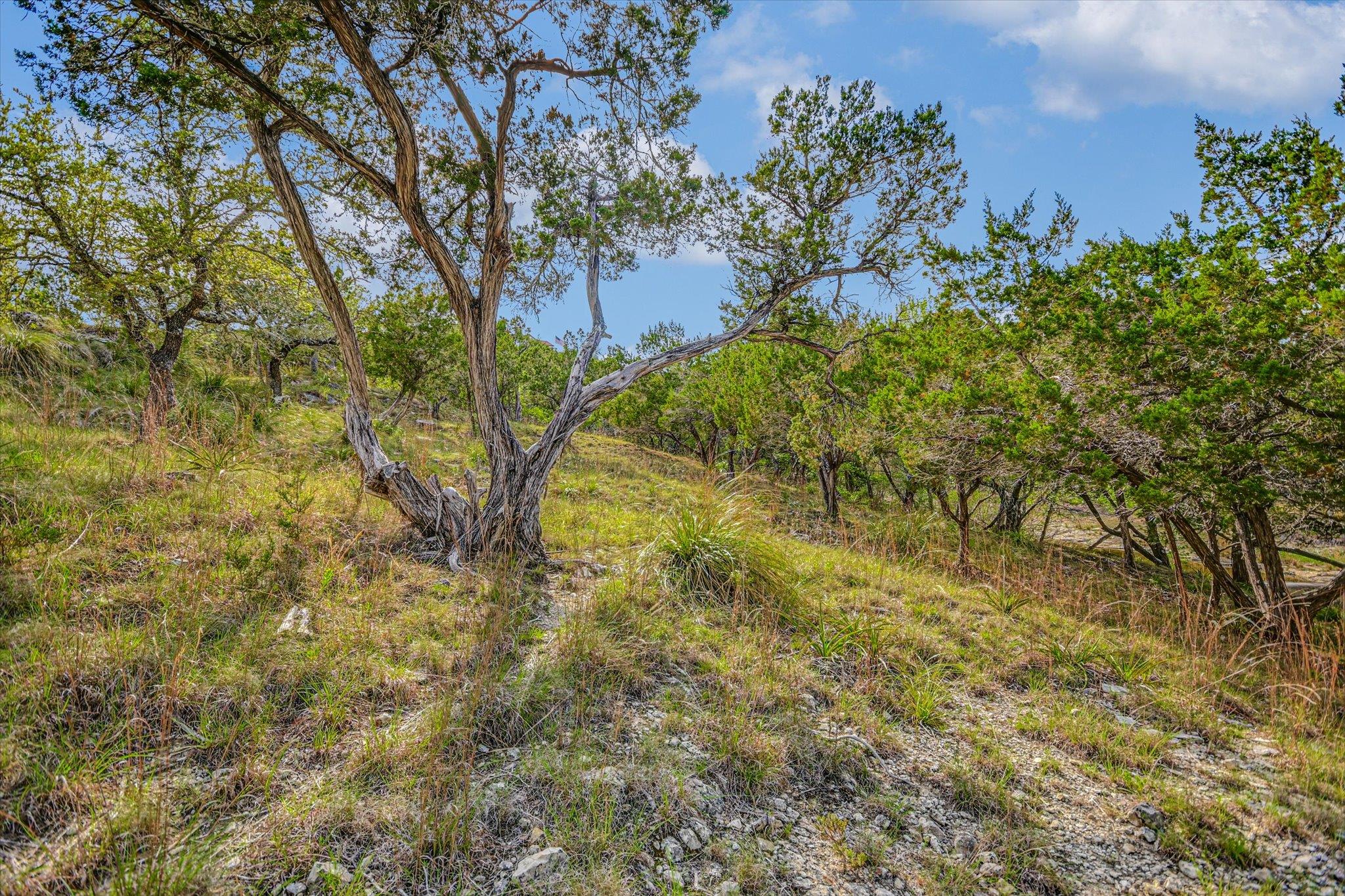 707 Deer Lake Road Wimberley TX 78676