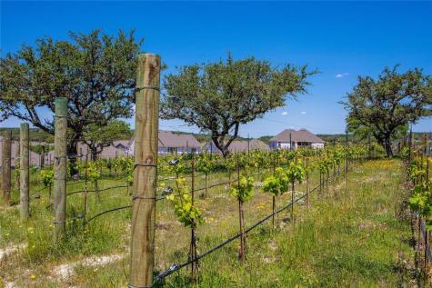 7705 Alouette Drive Austin TX 78738