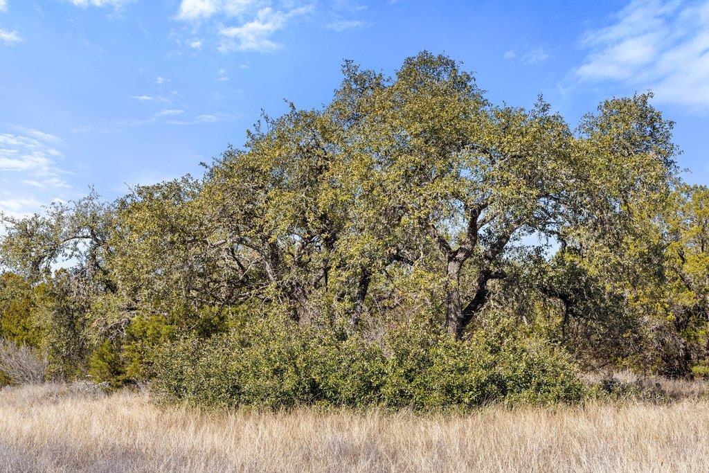 10904 Rawhide Trail Austin TX 78736