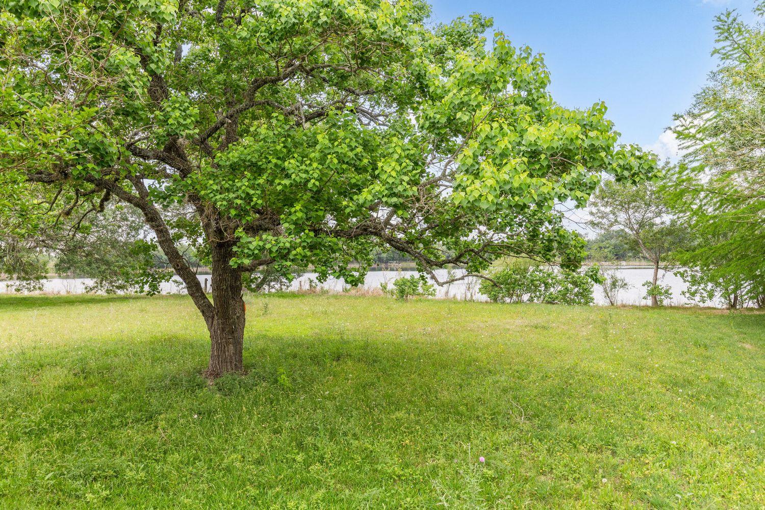 907 Horace Howard Drive San Marcos TX 78666