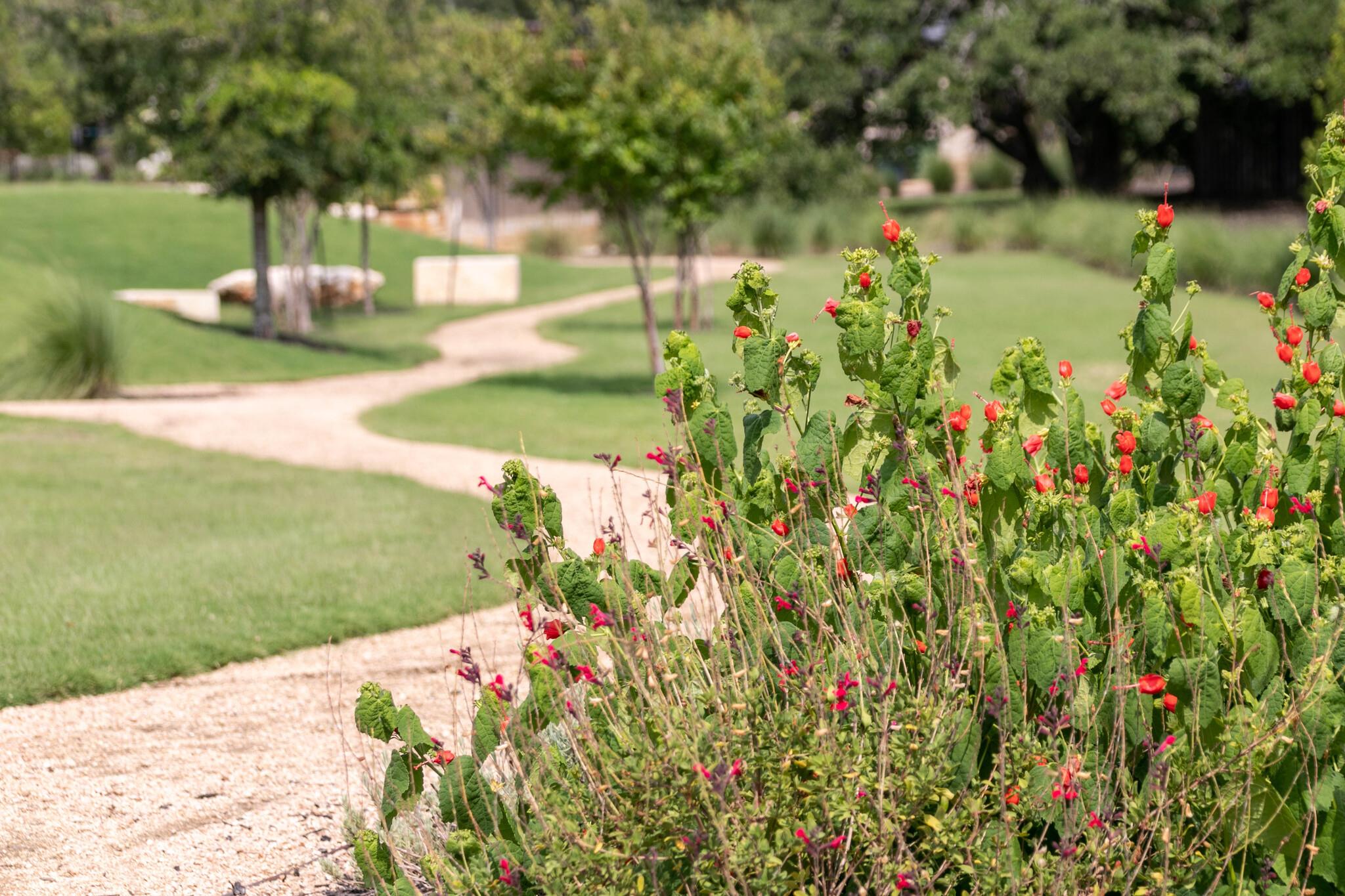 1417 Jolie Rose Bend Leander TX 78641