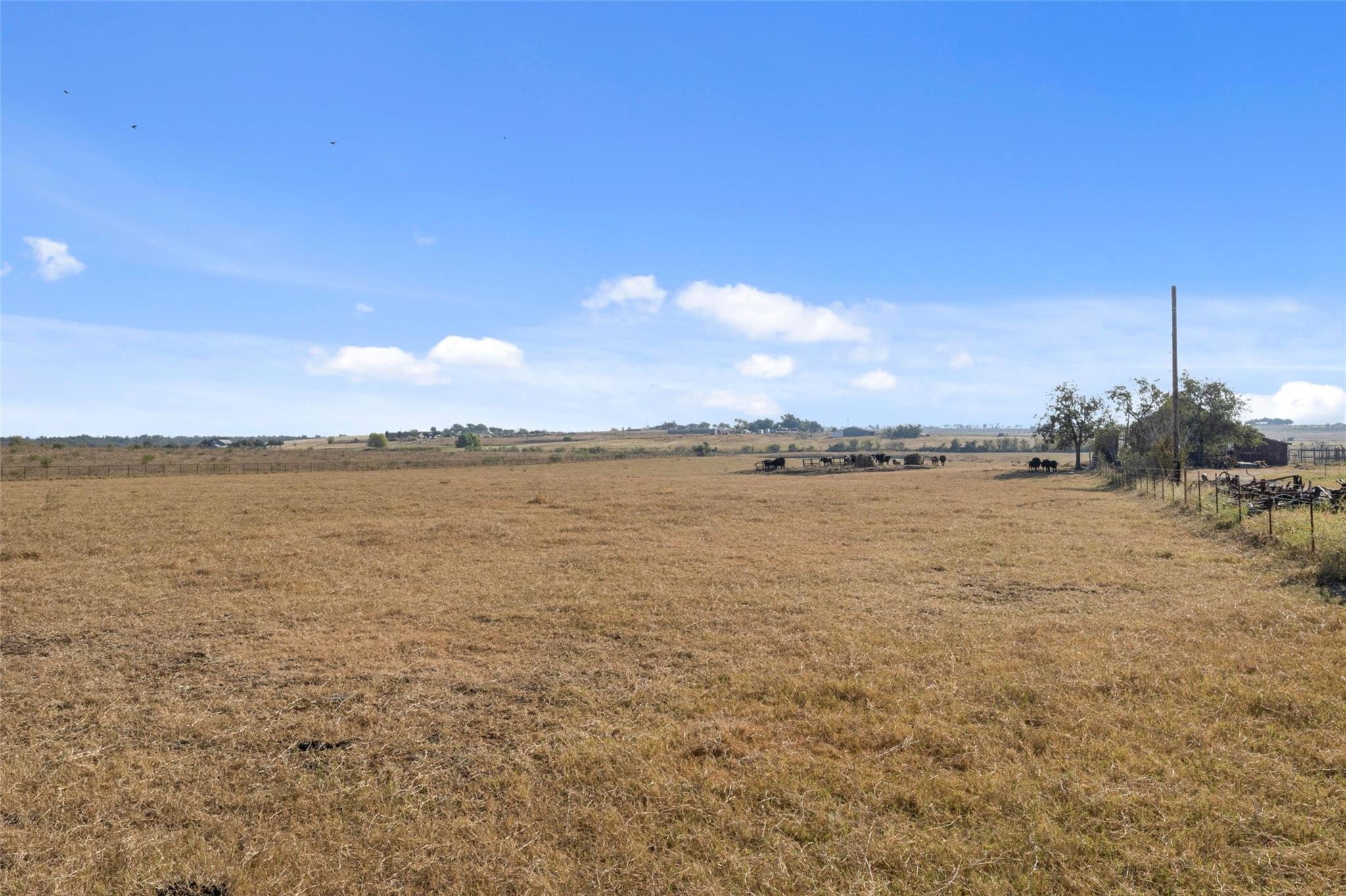 19919 Fm 973 Road N Coupland TX 78615
