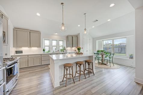 548 Elm Green Street Hutto TX 78634