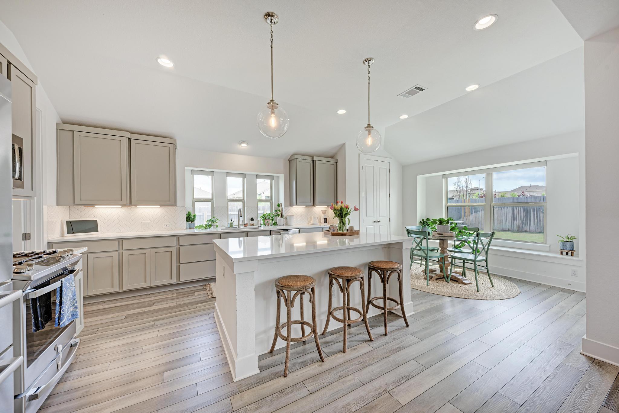 548 Elm Green Street Hutto TX 78634