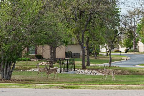 124 Dewberry Drive Georgetown TX 78633