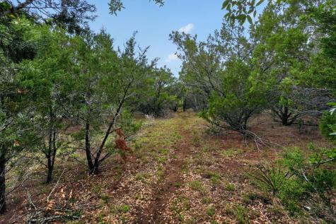 270 Rambling Oaks Drive Wimberley TX 78676