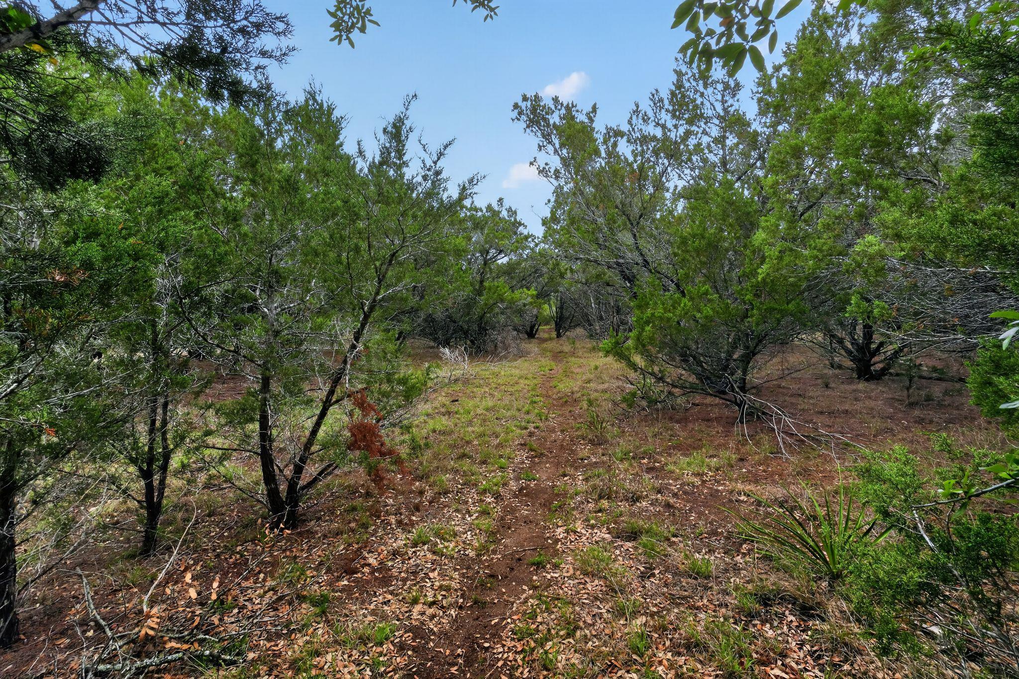 270 Rambling Oaks Drive Wimberley TX 78676