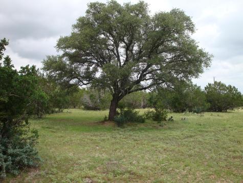 1619 Althaus Ranch Road Johnson City TX 78636