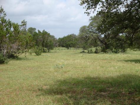 1619 Althaus Ranch Road Johnson City TX 78636