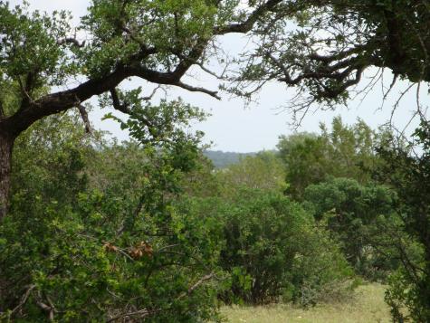 1619 Althaus Ranch Road Johnson City TX 78636