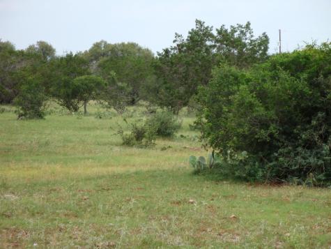 1619 Althaus Ranch Road Johnson City TX 78636