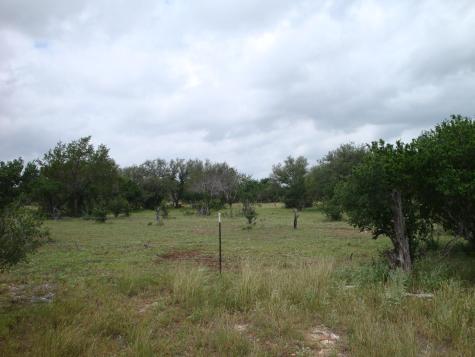1619 Althaus Ranch Road Johnson City TX 78636