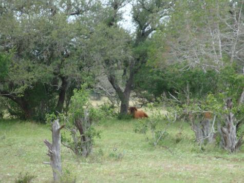 1619 Althaus Ranch Road Johnson City TX 78636