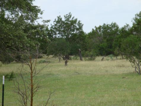 1619 Althaus Ranch Road Johnson City TX 78636